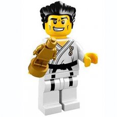 LEGO® Serie 2 N°14 LEGO® Karate Master - Complete Set